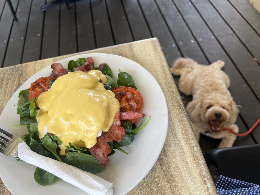 Ruff Ruff Reviews - Dog-Friendly Cafe - Blue Infusion, North Lakes - Ralph lying down next to Keto Breakfast