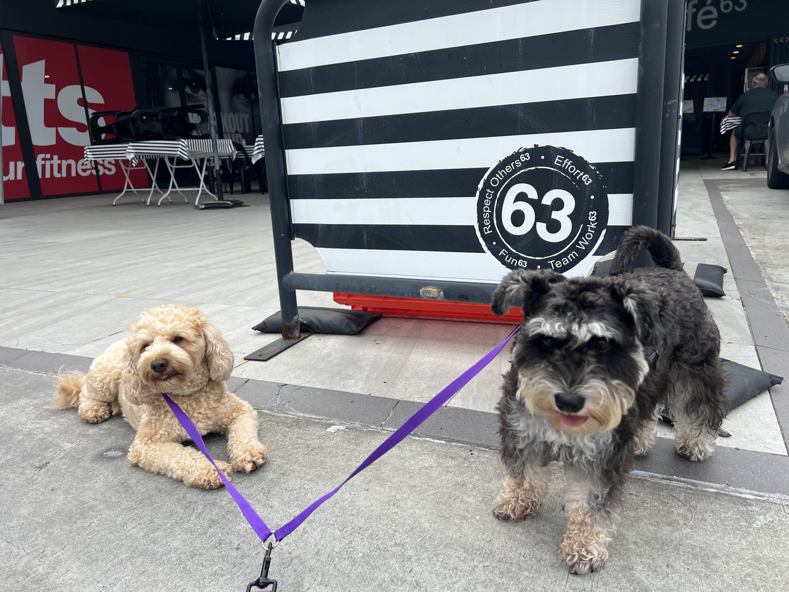 Read more about the article Café 63, Burpengary