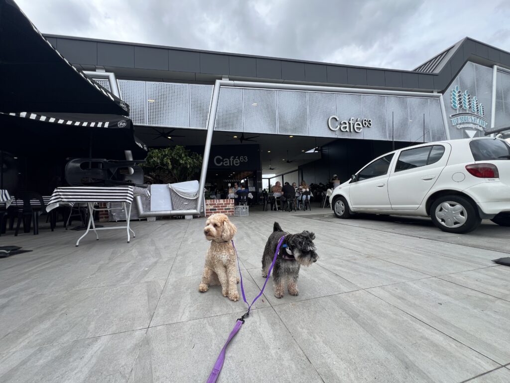 Ruff Ruff Reviews - Dog-Friendly Cafe - Cafe 63, Burpengary - Ralph and Luna sitting outside