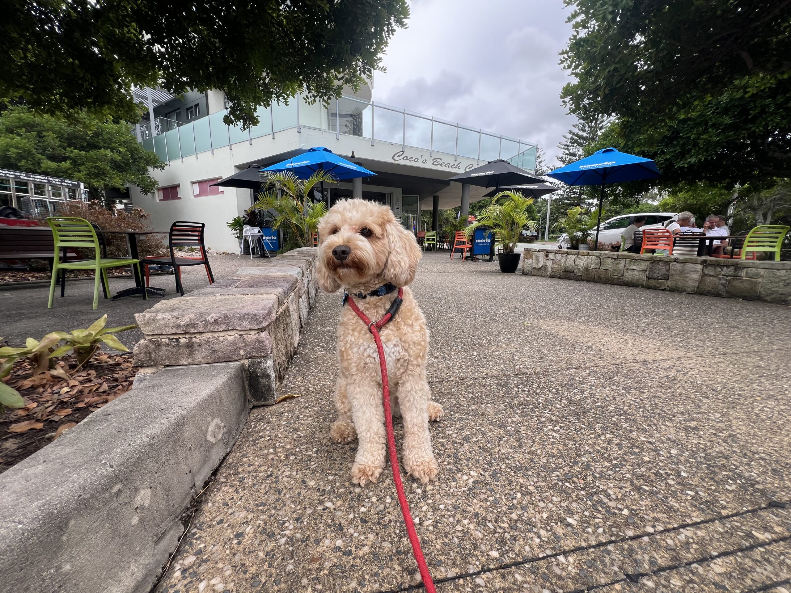 Read more about the article Coco’s on the Lake, Currimundi