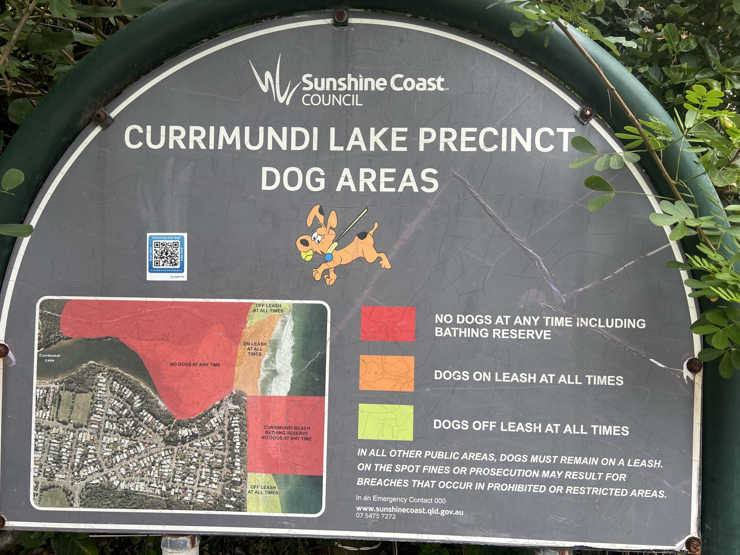 Read more about the article Cliff Hargreaves Park & Currimundi Lake, Currimundi