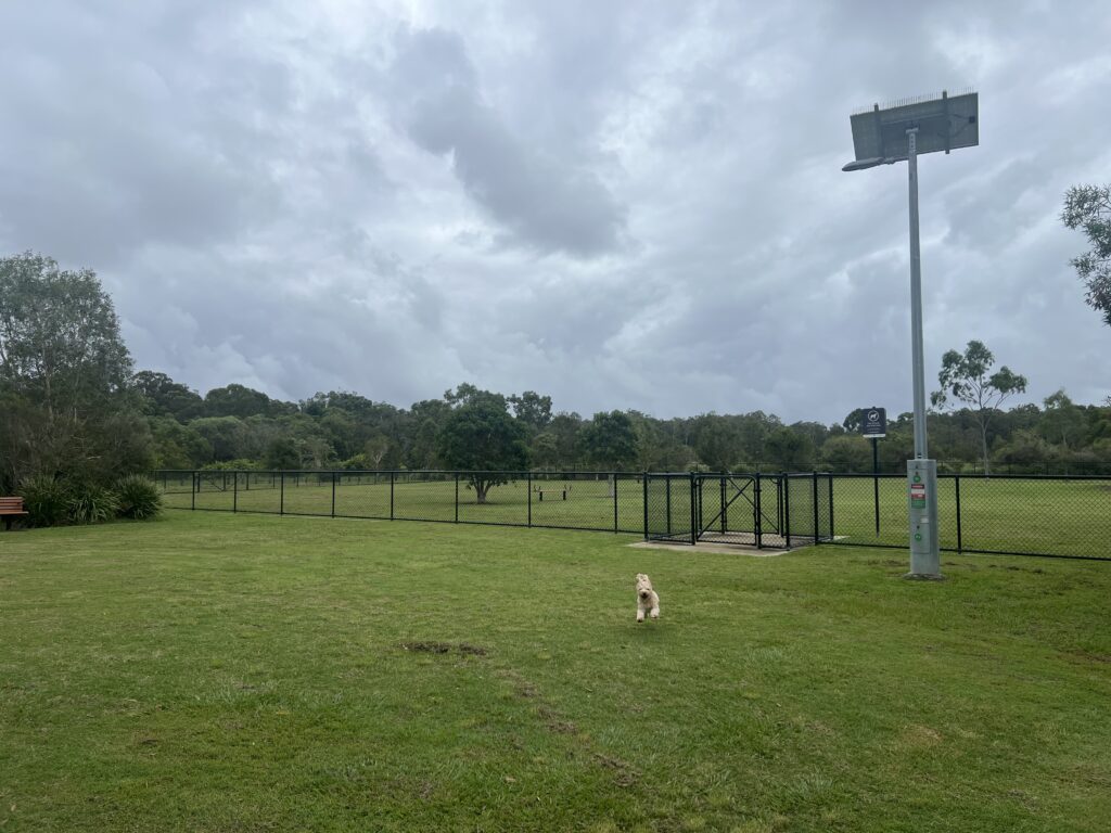 Ruff Ruff Reviews - Viridian Park Dog Park - Pet-Friendly - Dog-Friendly - Ralph doing zoomies