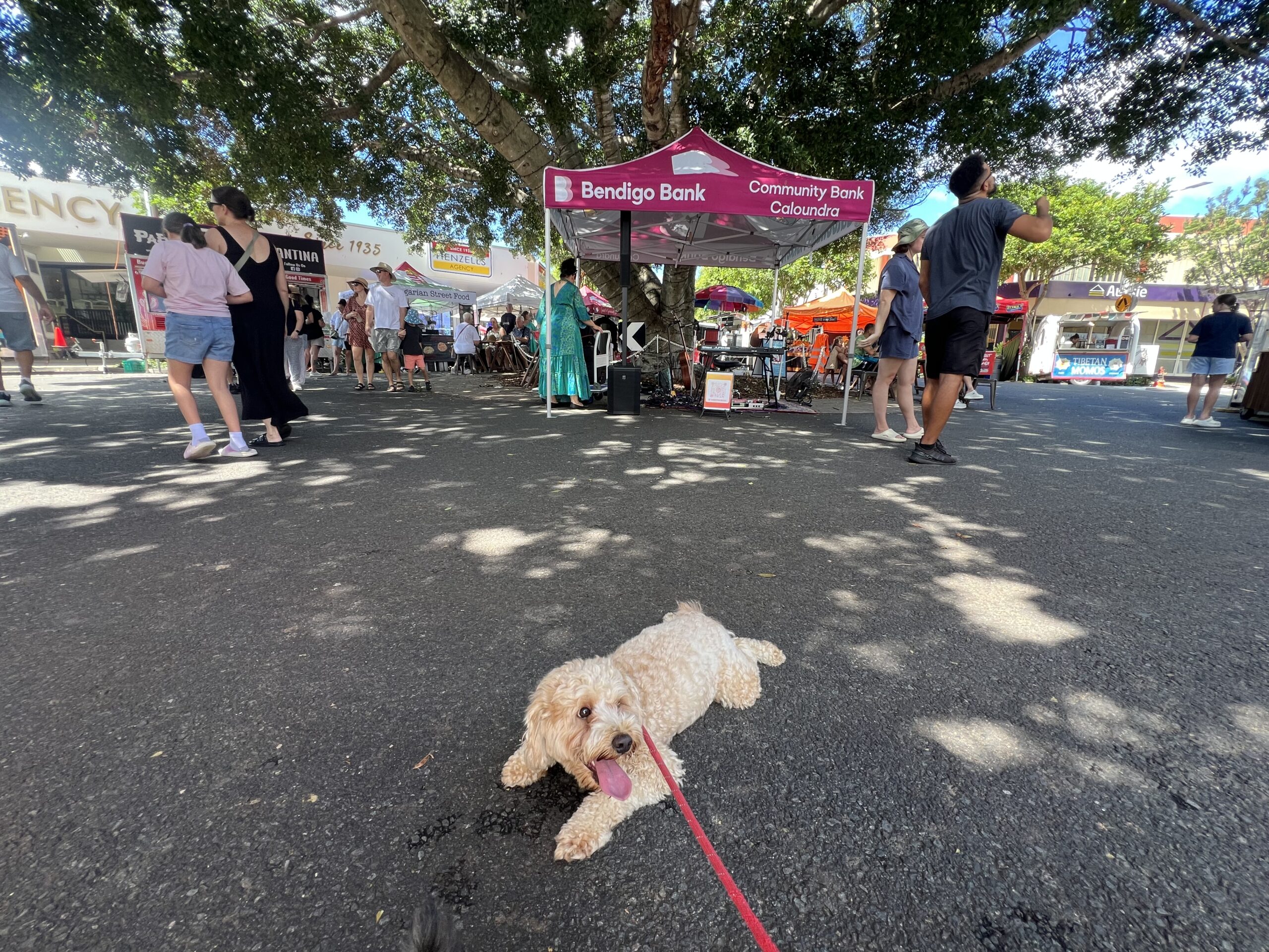 Read more about the article Caloundra Street Fair Markets, Caloundra