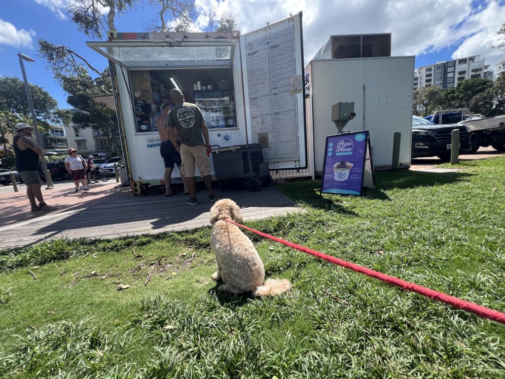 Ruff Ruff Reviews - Happy Turtle Cafe, Caloundra - Ralph sitting waiting in line.