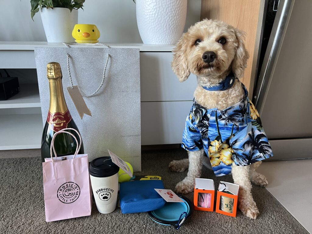 Ruff Ruff Reviews - A Dog's Life 2025 Expo, Noosaville, Ralph with his Fashion on Fields first prize winnings