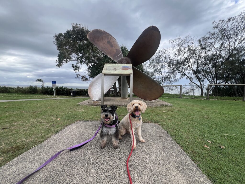 Ruff Ruff Reviews - Rainbow Beach Park - Cherry Venture Propeller - Ralph and Luna sitting