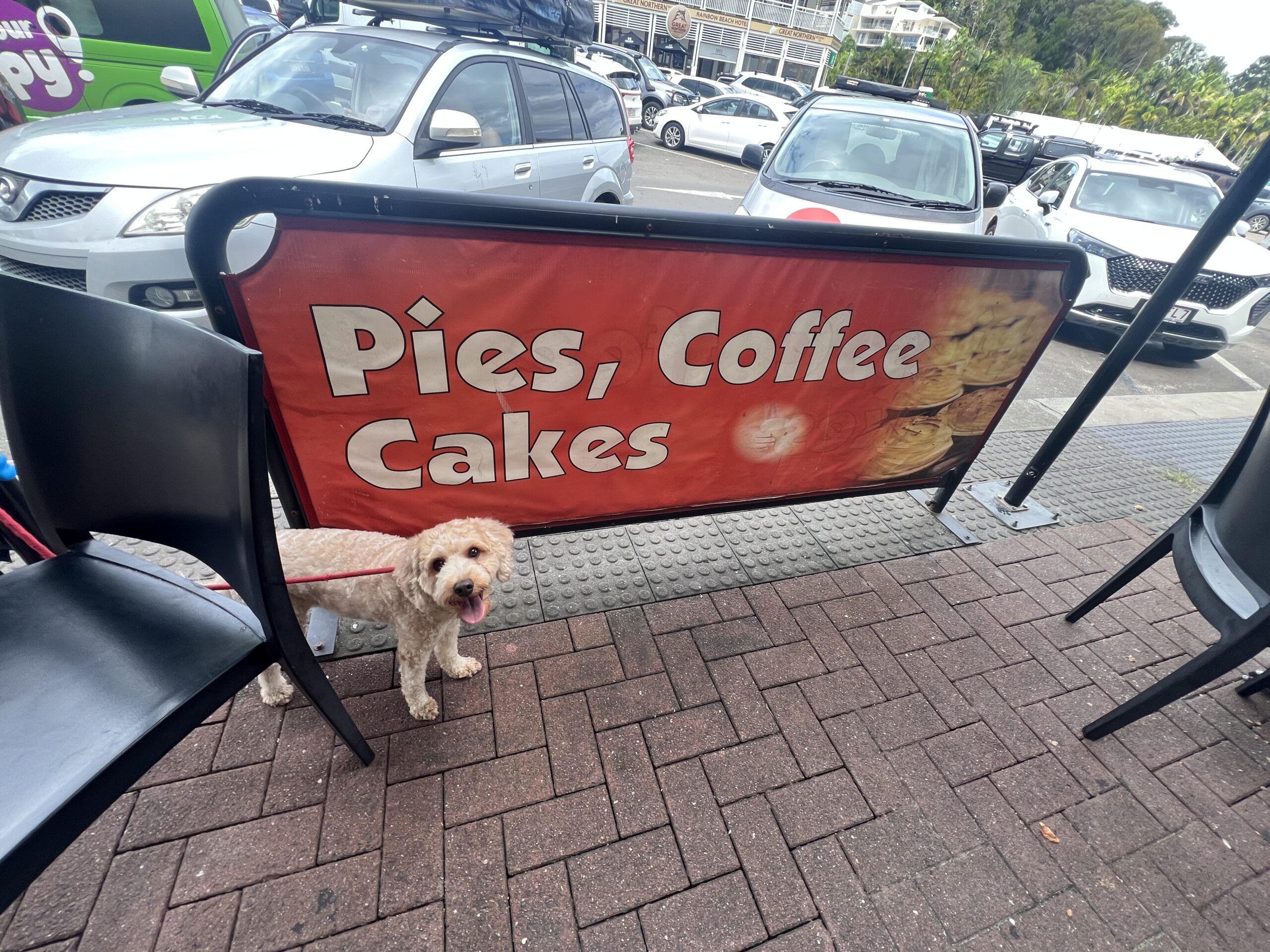 Ruff Ruff Reviews - Rainbow Beach Pies and Cakes - Ralph sitting next to Pies, Coffee, Cakes Cafe Sign