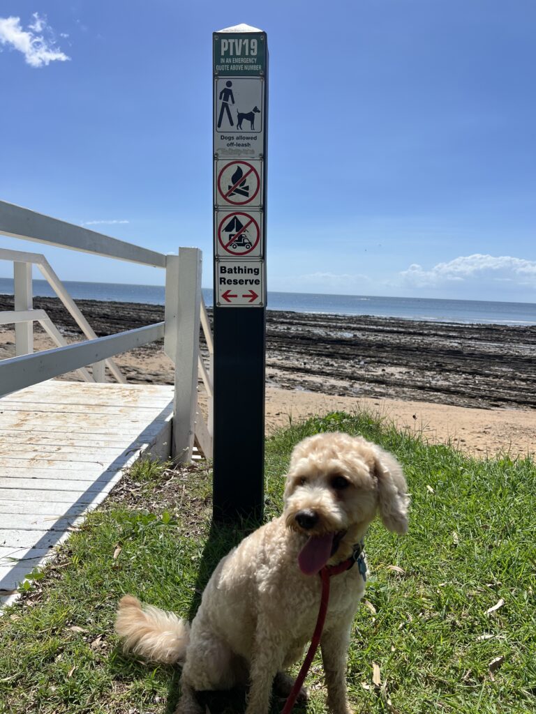 Ruff Ruff Reviews - Point Vernon, Beach - Ralph sitting next to dog sign