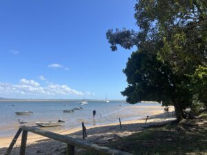 Ruff Ruff Reviews - Rusty Pelican, Seventeen Seventy 1770 - Beach views