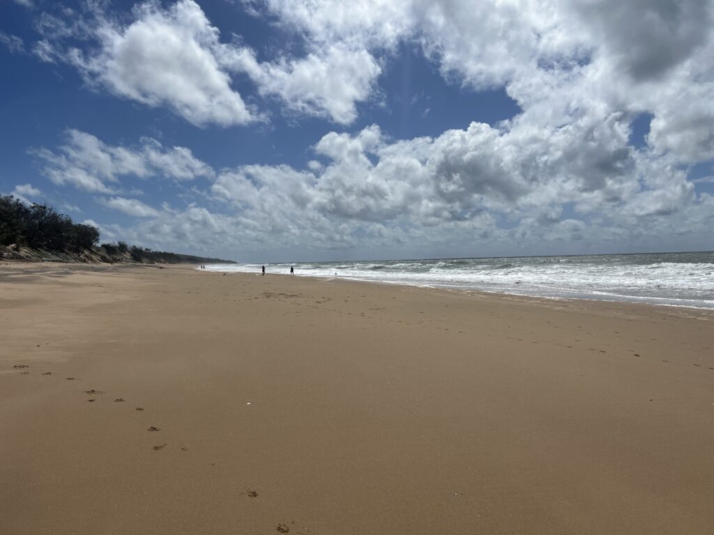 Ruff Ruff Reviews - Surf Club Avenue Beach Agnes Water, Seventeen Seventy 1770 - Beach