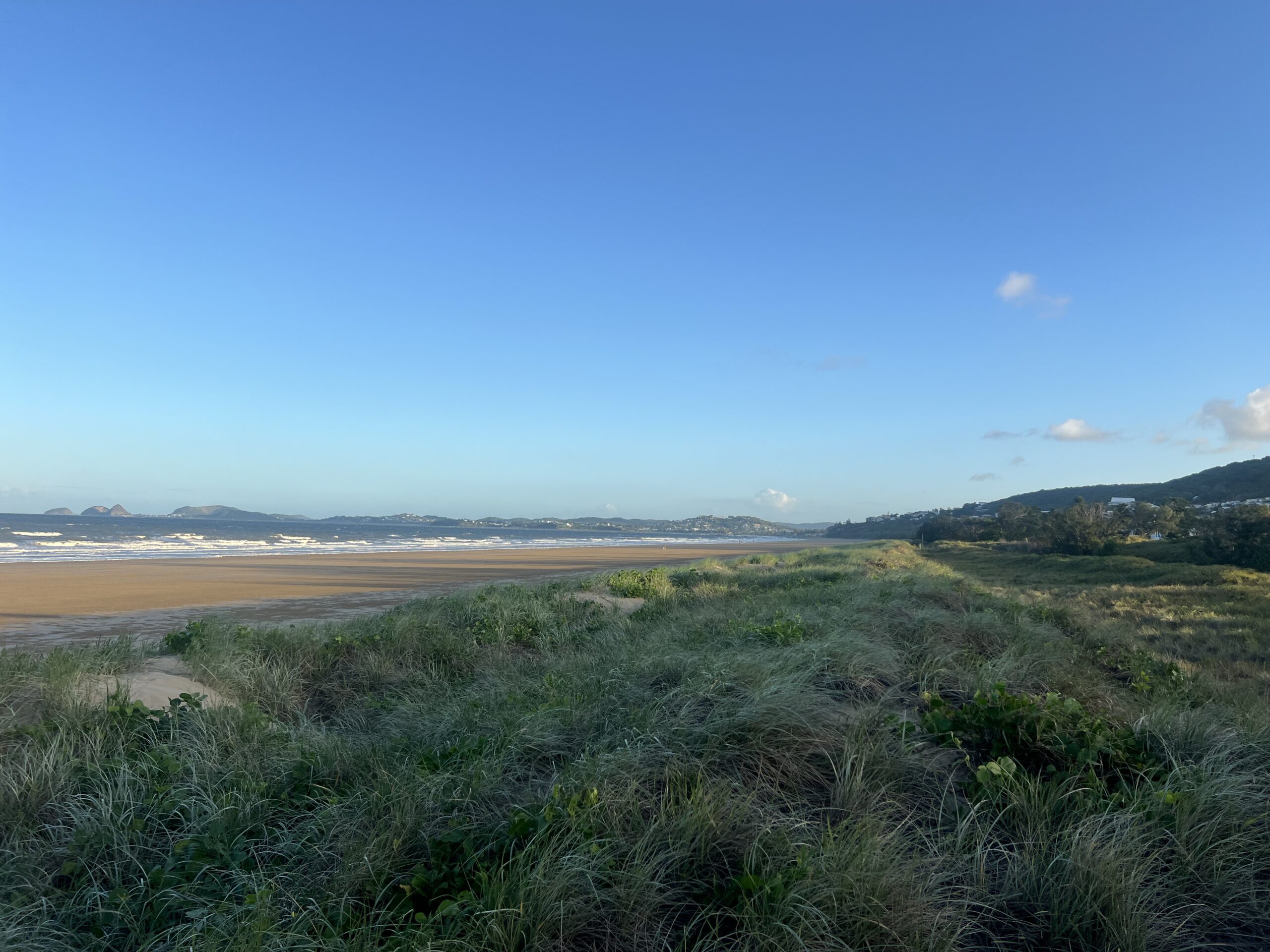 Ruff Ruff Reviews - Farnborough Beach, Yeppoon - Dog-Friendly Beach - Endless beach
