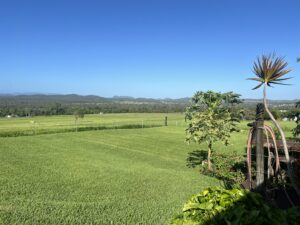 Ruff Ruff Reviews - Pegasus Horse Park, Adelaide Park, Yeppoon, - Dog-Friendly Accomodation - view