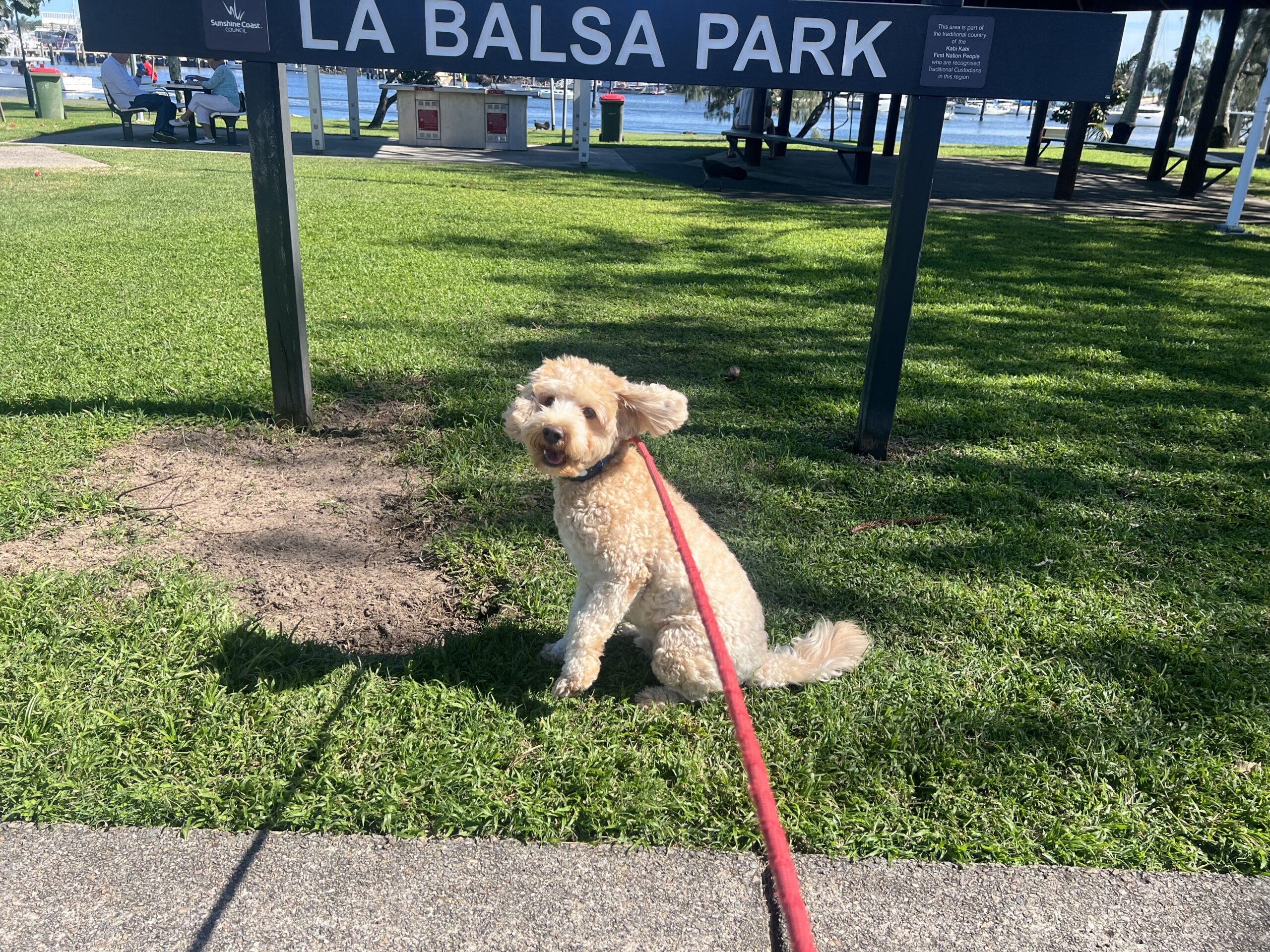 Ruff Ruff Reviews - La Balsa Park, Buddina, Sunshine Coast - Ralph sitting by sign