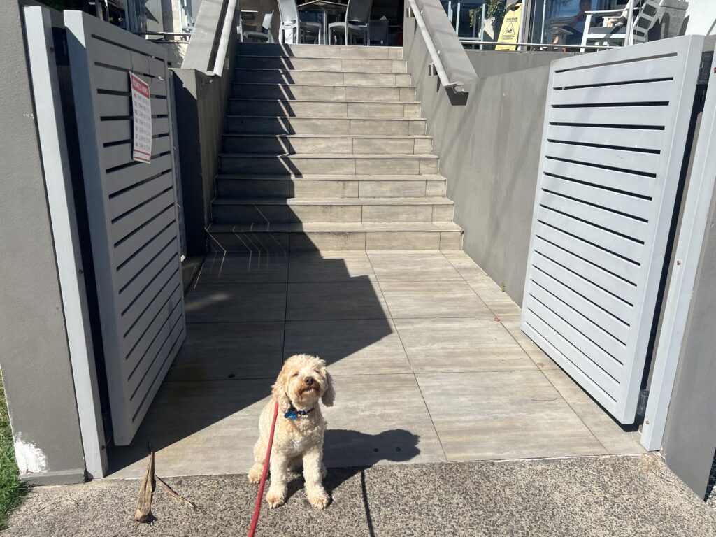 Ruff Ruff Reviews - On on La Balsa Cafe, Buddina, Sunshine Coast - Ralph in front of shop
