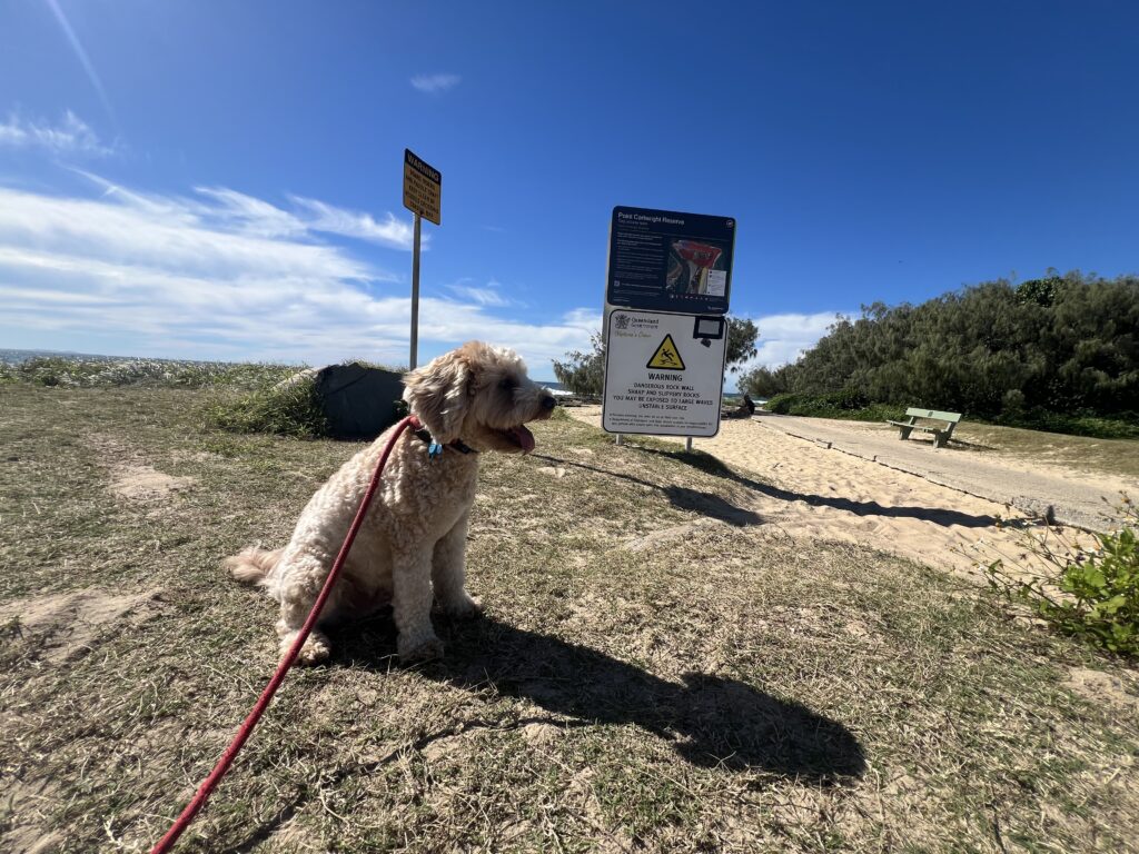 Ruff Ruff Reviews - Point Cartwright Beach and Reserve, Buddina, Sunshine Coast - Ralph next to dog sign