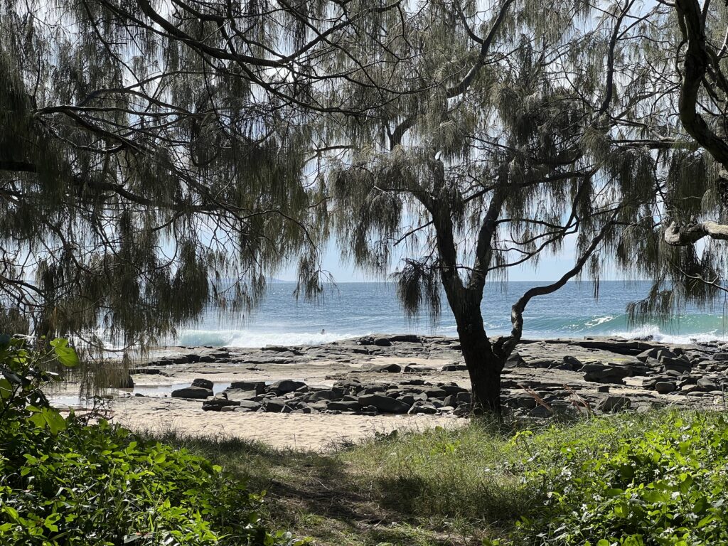 Ruff Ruff Reviews - Point Cartwright Beach and Reserve, Buddina, Sunshine Coast - Beach views through trees