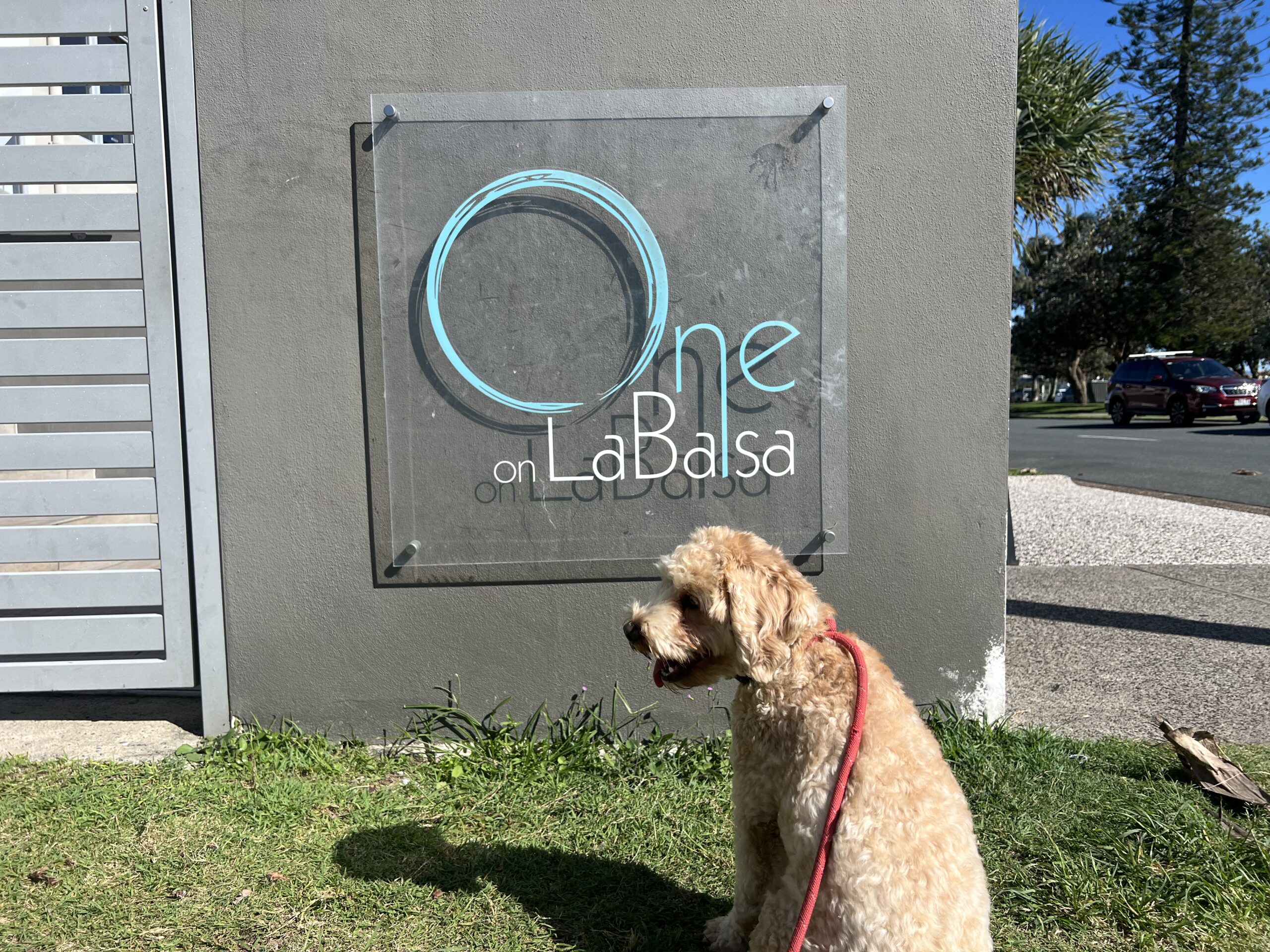 Ruff Ruff Reviews - On on La Balsa Cafe, Buddina, Sunshine Coast - Ralph in front of shop