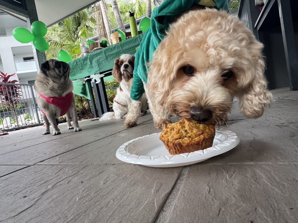 Ruff Ruff Reviews - Dog-Friendly Party - How to Host a dog birthday party - Ralph eating his pupcake