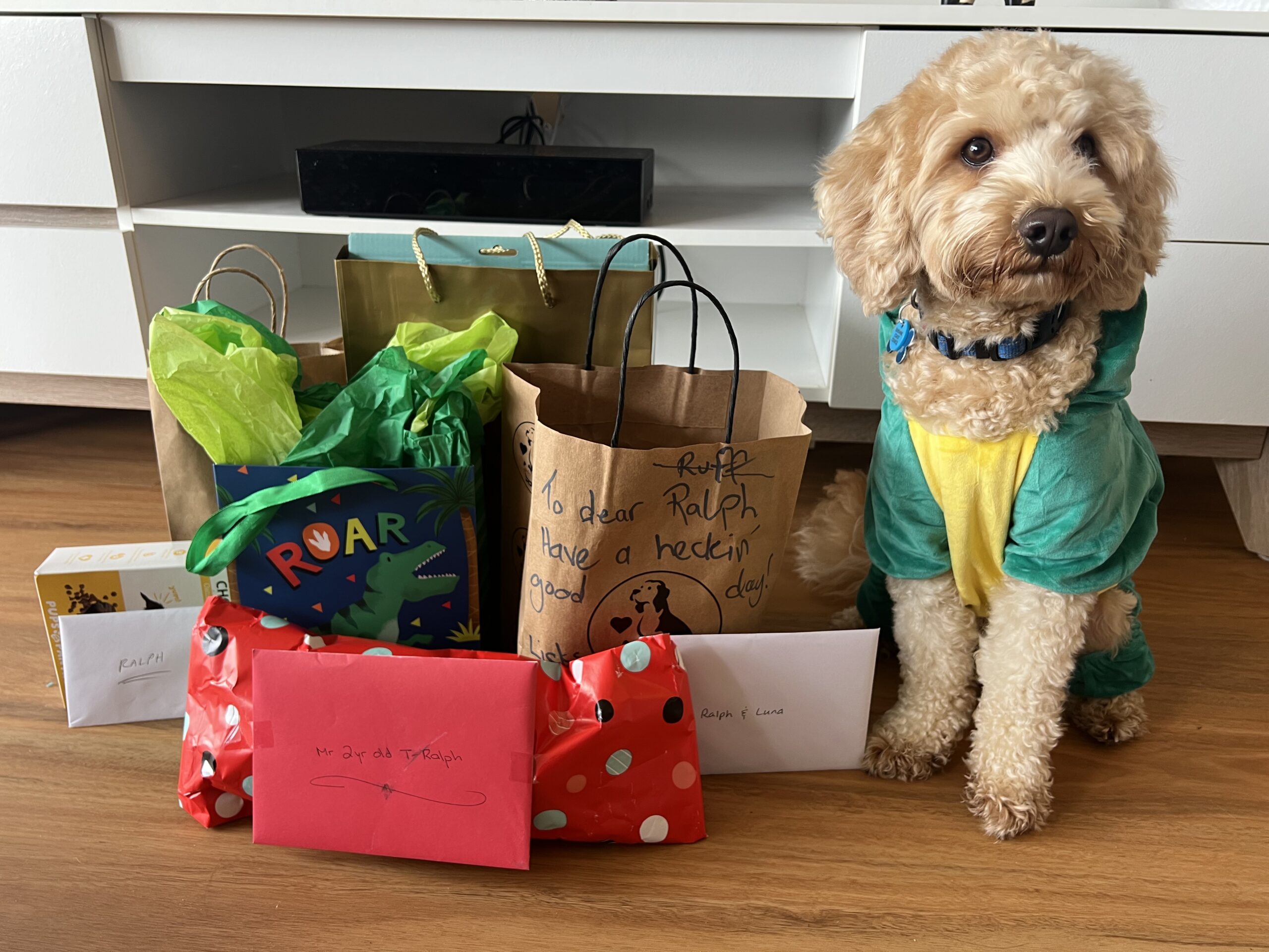 Ruff Ruff Reviews - Dog-Friendly Party - How to Host a dog birthday party - Ralph in front of his presents