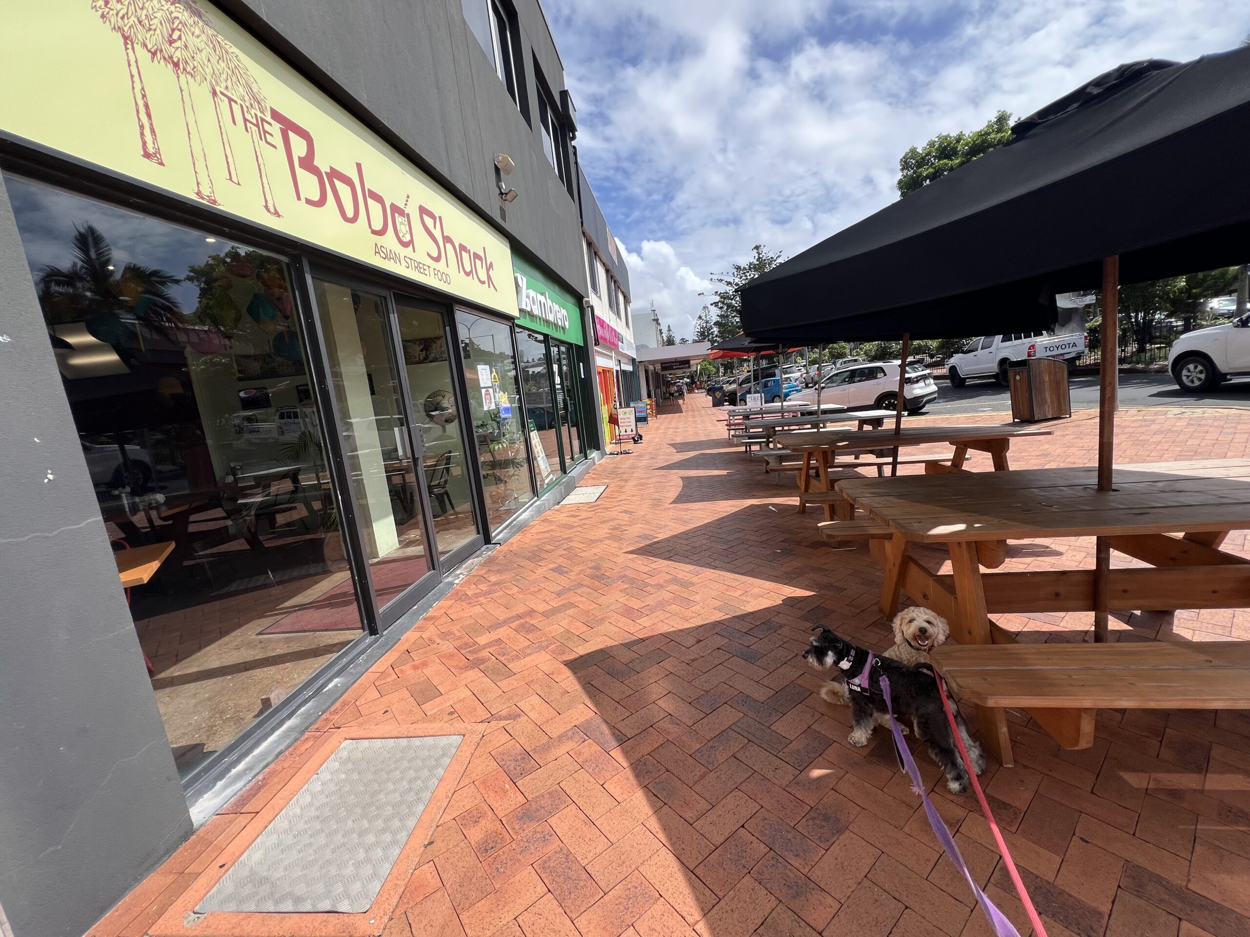 Ruff Ruff Reviews - Boba Shack, Yeppoon - Dog-Friendly - Ralph and Luna chilling