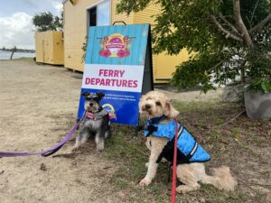 Ruff Ruff Reviews - Keppel Konnections, Yeppoon - Ralph and Luna ready to set sail