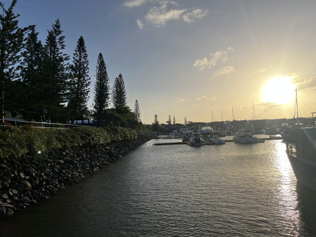 Ruff Ruff Reviews - Keppel Bay Marina, Yeppoon - Dog-Friendly - Marina at sunset
