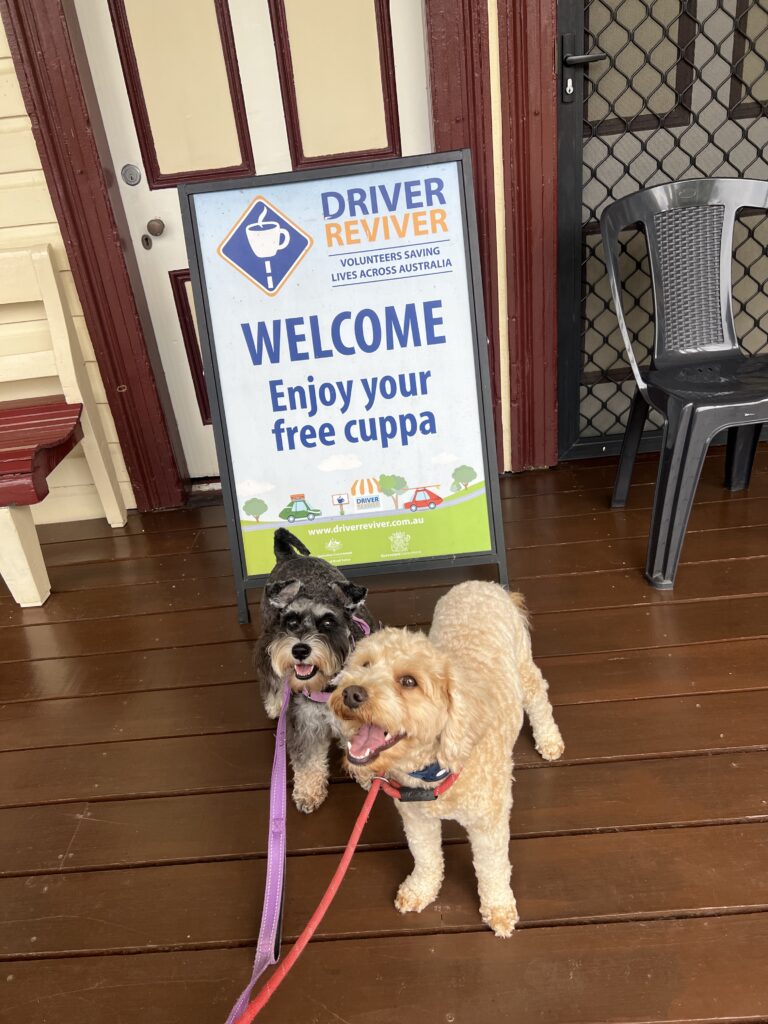 Ruff Ruff Reviews - Mount Morgan - Dog-Friendly - Visitor Centre Welcome - Ralph and Luna