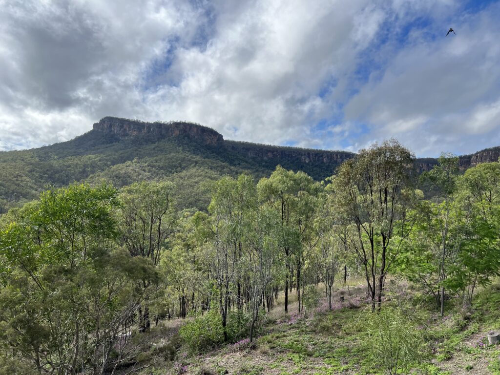 Ruff Ruff Reviews - Cania Dam, Cania Gorge - Views