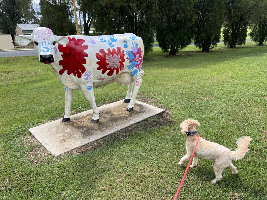 Ruff Ruff Reviews - Monto - Ralph barking at colorful dairy cow