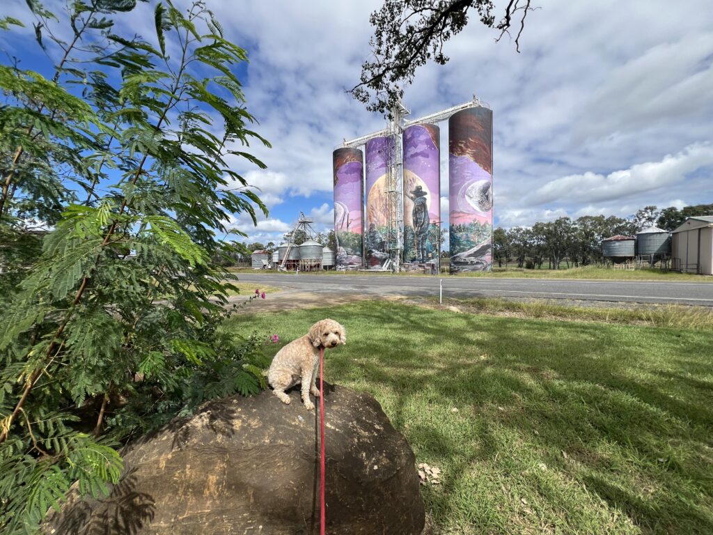 Ruff Ruff Reviews - Monto - 3 Silos