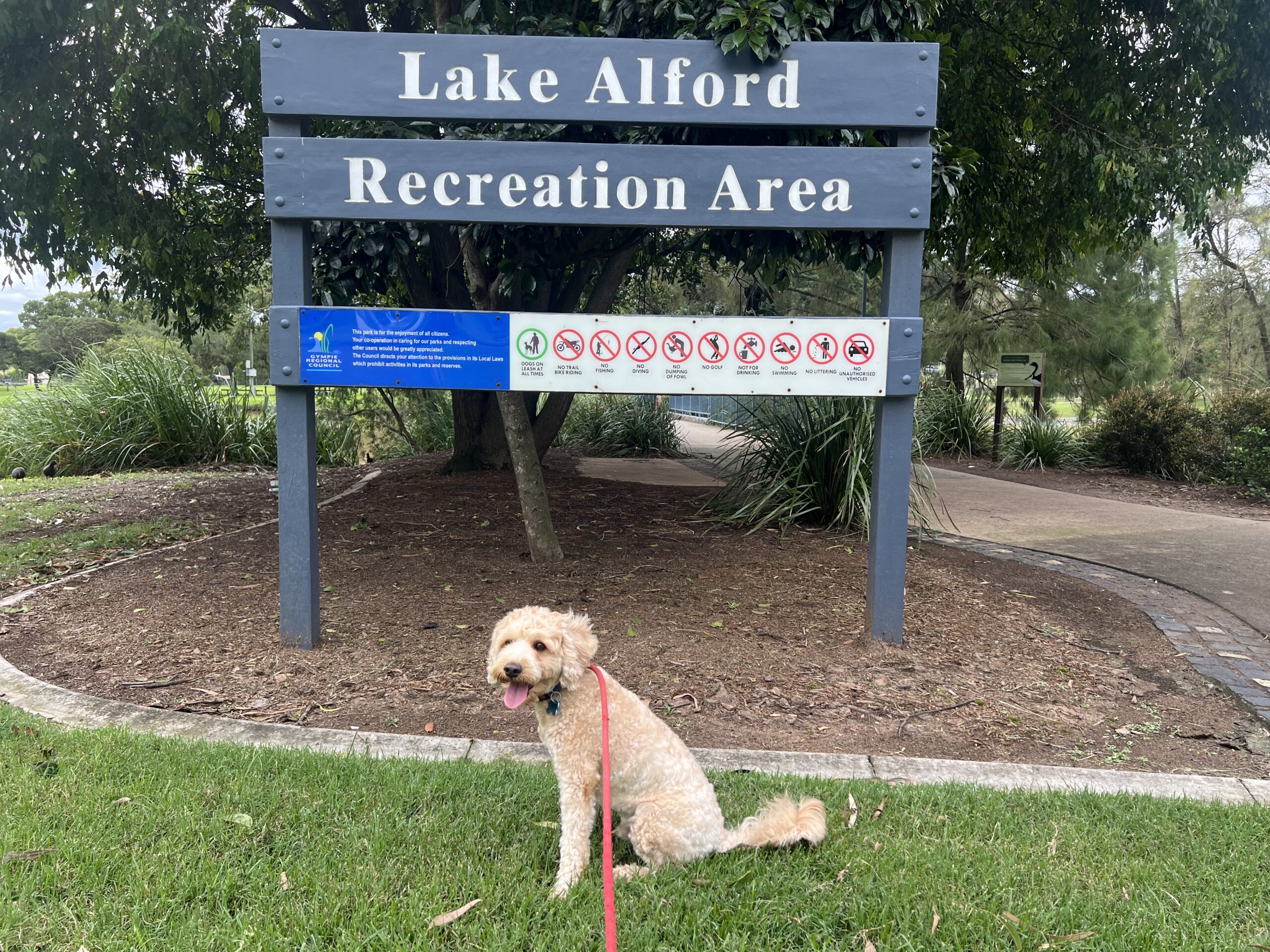 Ruff Ruff Reviews - Lake Alford Recreation Area, Gympie - Ralph in front of sign