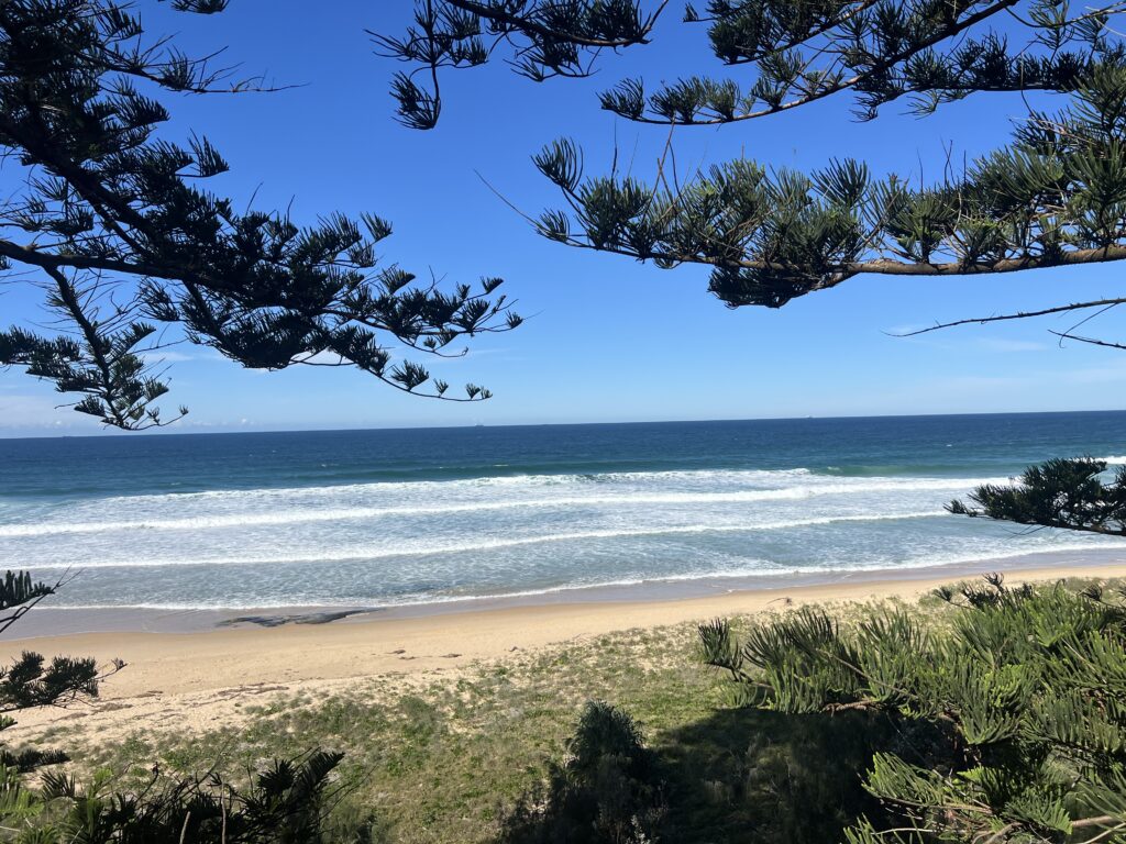 Ruff Ruff Reviews - Point Cartwright Beach - Dog-Friendly Beach - Beach Views