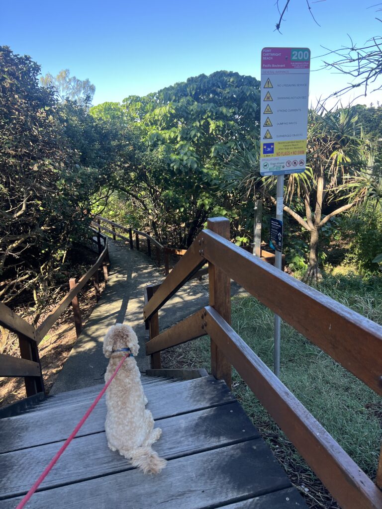 Ruff Ruff Reviews - Point Cartwright Beach - Dog-Friendly Beach - Beach Signs