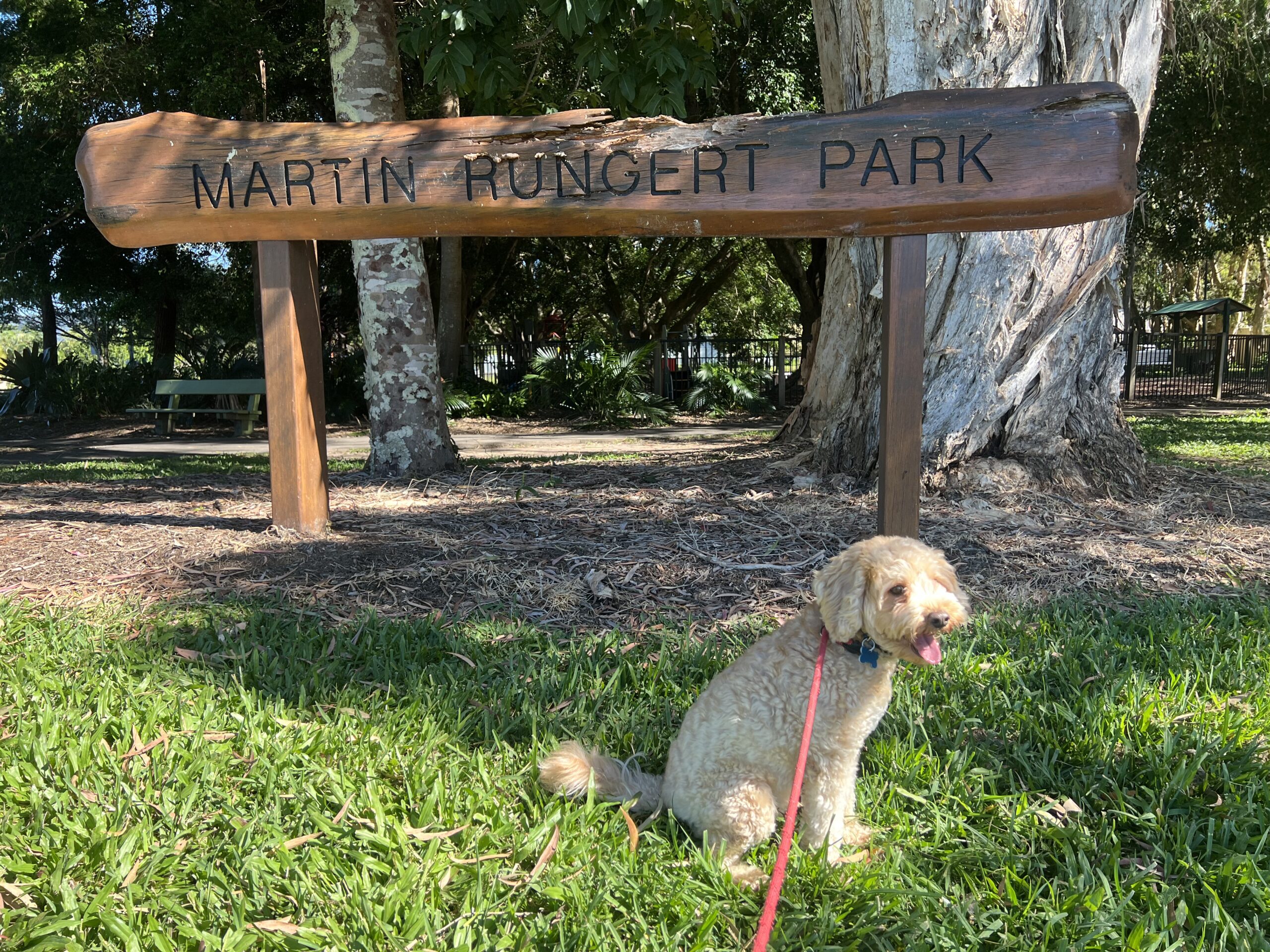 Ruff Ruff Reviews - Mooloolah Valley - Martin Rungert Park - Ralph at Park