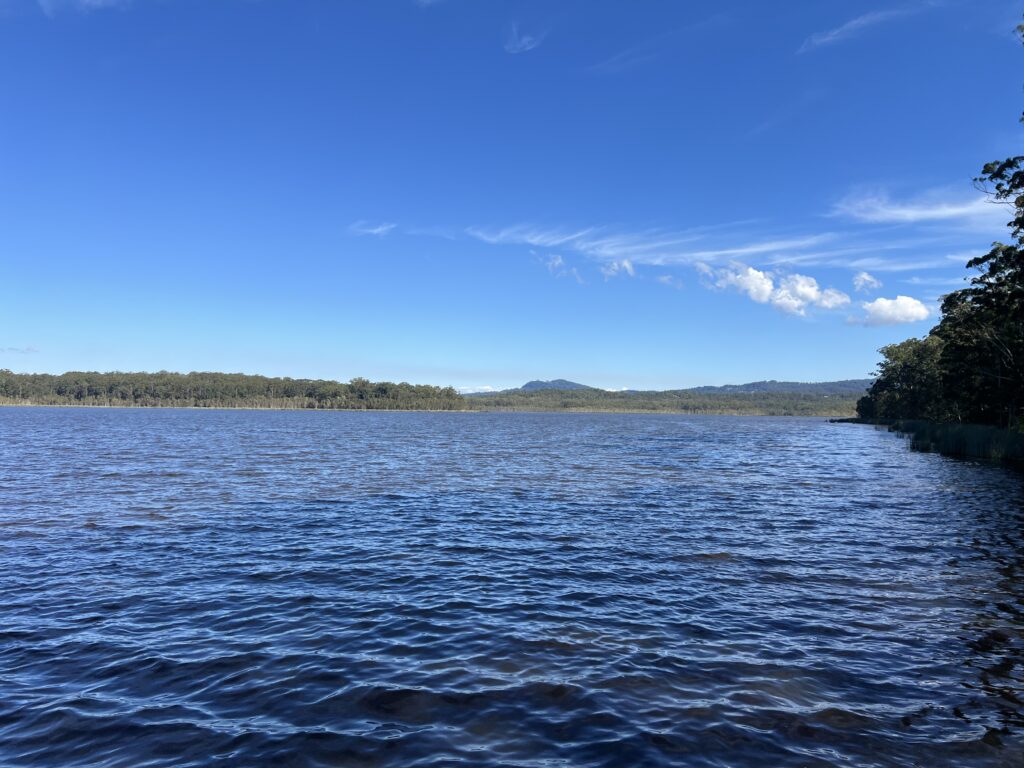 Ruff Ruff Reviews - Ewen Maddock Dam and Park - Dog-Friendly - Dam views