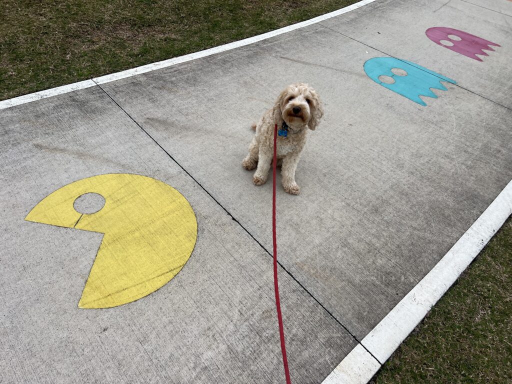Ruff Ruff Reviews - Mummy's Cafe, Bells Creek Aura - Ralph sitting near pacman