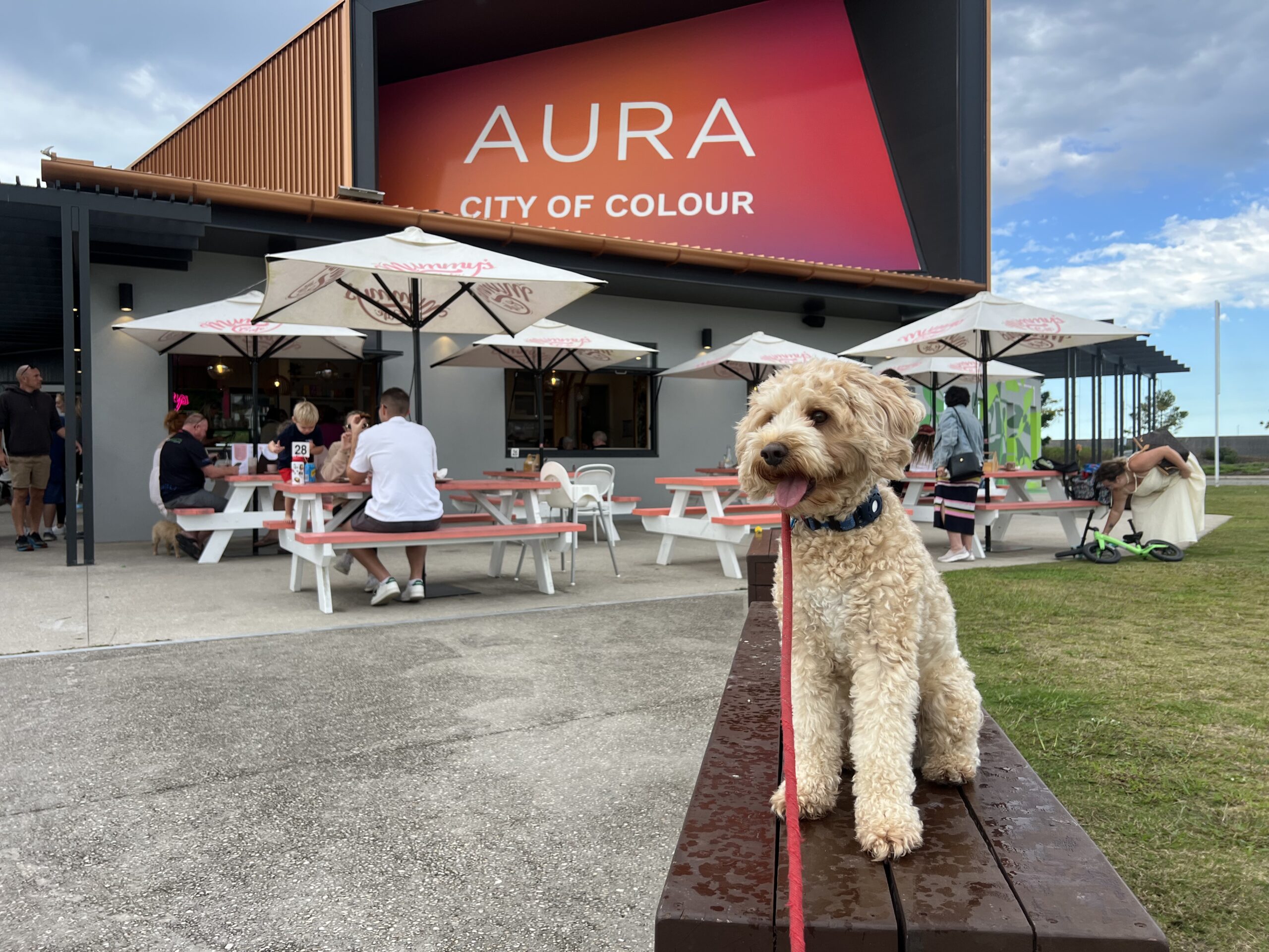 Ruff Ruff Reviews - Mummy's Cafe, Bells Creek Aura - Ralph sitting in front of cafe