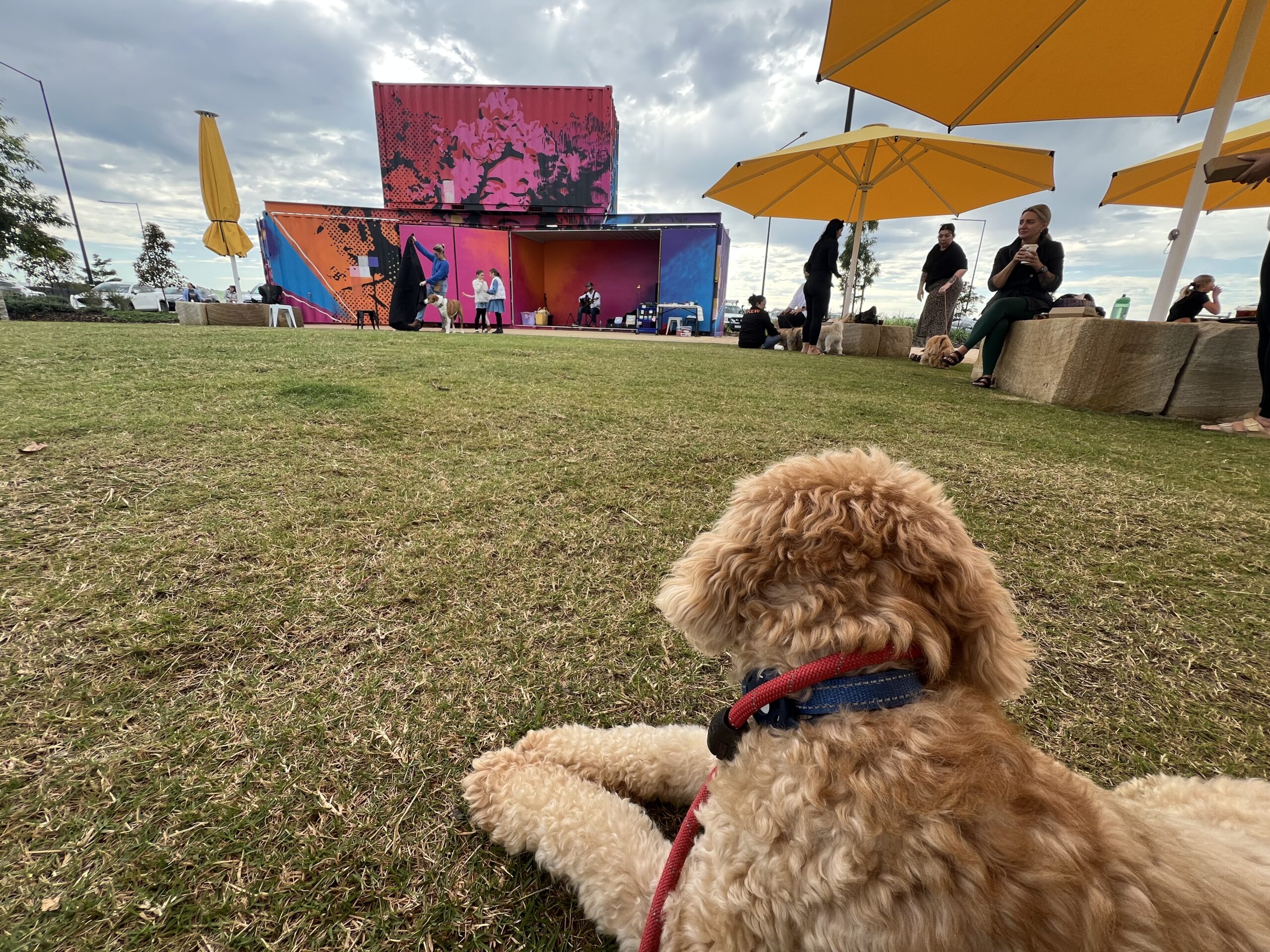 Ruff Ruff Reviews - Aura Farmers Markets (Saturday) Ralph listening to music