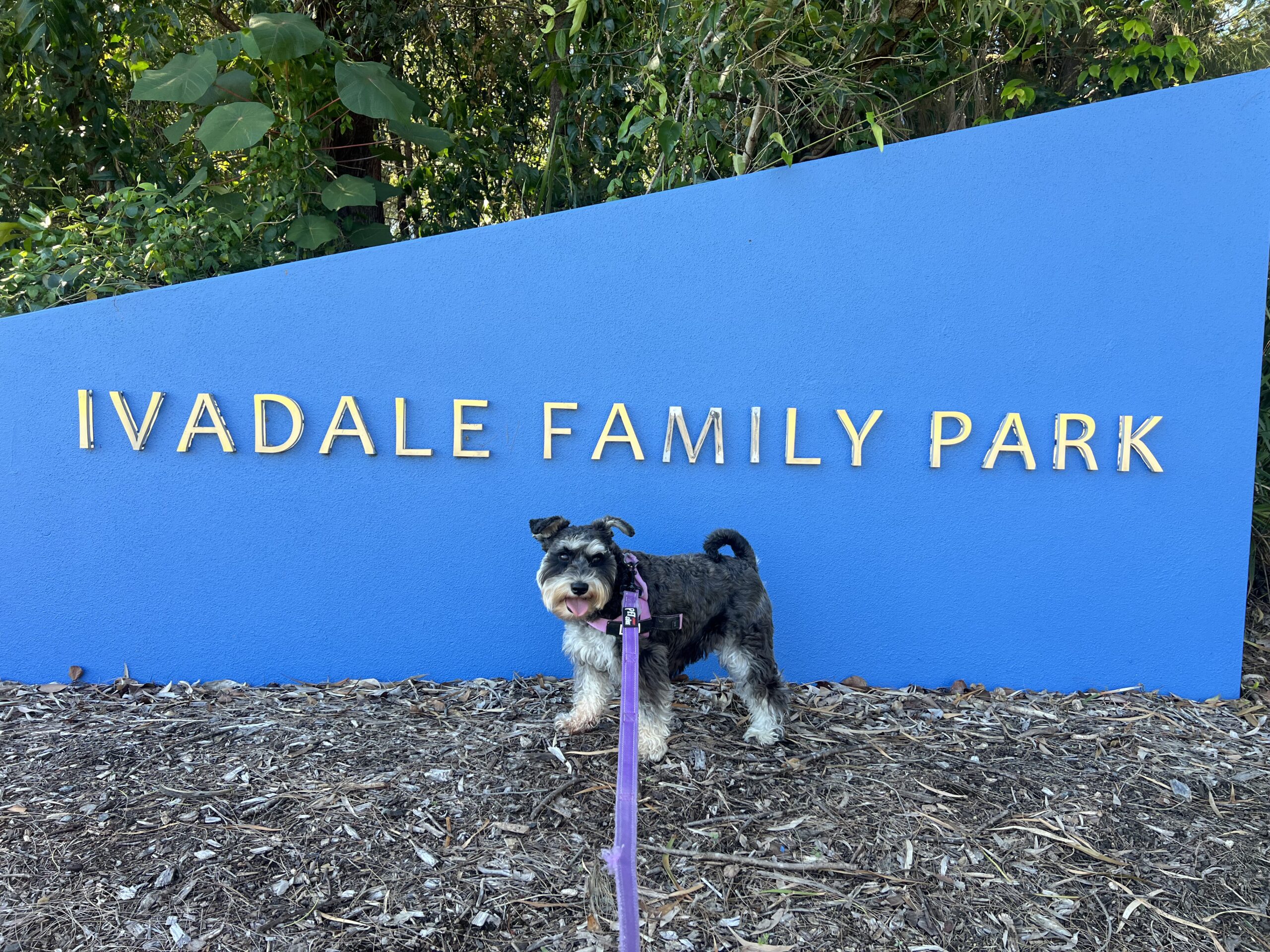 Ruff Ruff Reviews - Ivadale Family Park, Little Mountain - Luna near park sign