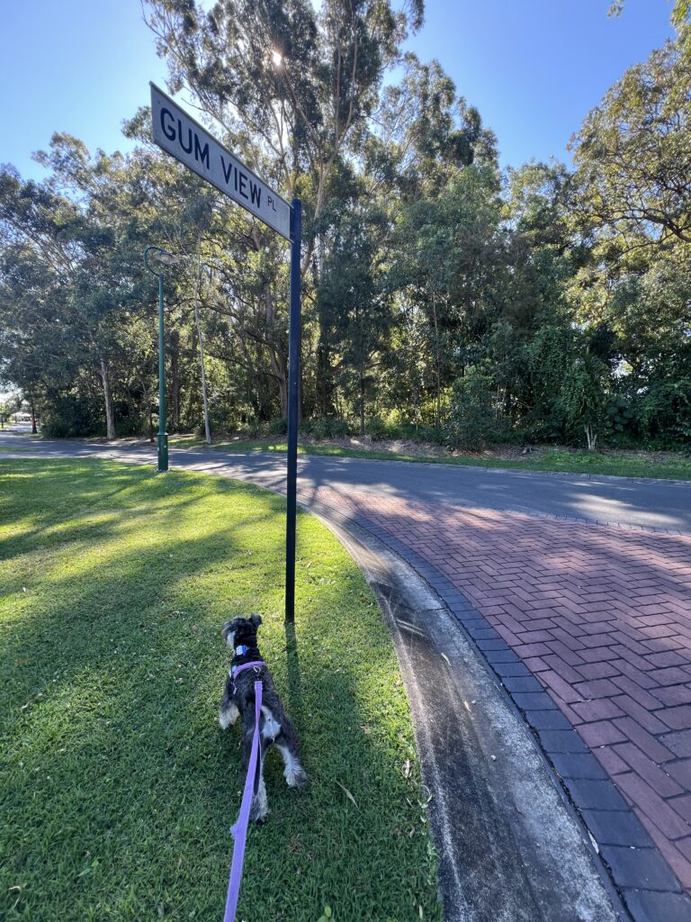 Ruff Ruff Reviews - Ivadale Lakes, Little Mountain -Luna inspecting sign
