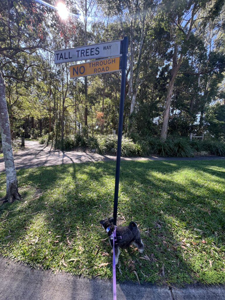Ruff Ruff Reviews - Ivadale Lakes, Little Mountain -Luna inspecting sign