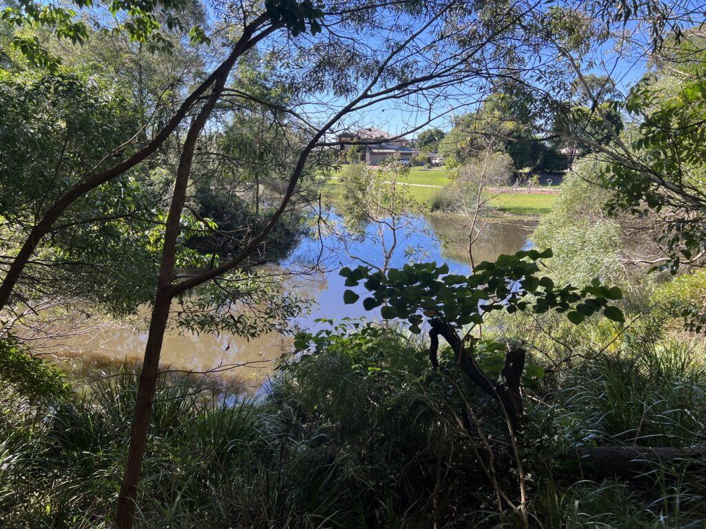 Ruff Ruff Reviews - Ivadale Lakes, Little Mountain -Lake views