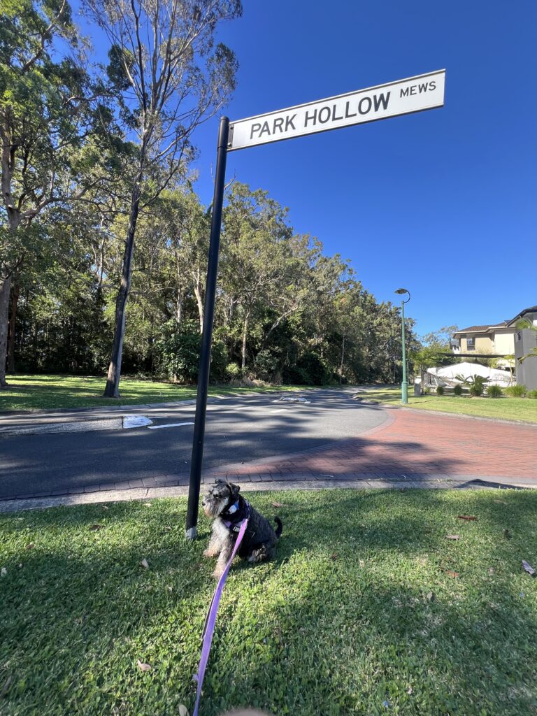 Ruff Ruff Reviews - Ivadale Lakes, Little Mountain -Luna inspecting sign