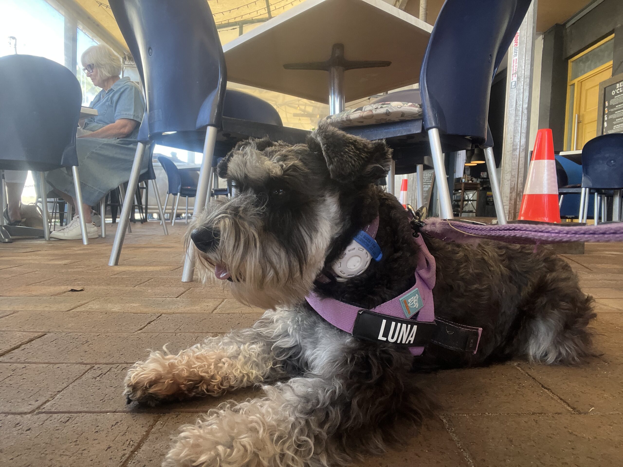 Ruff Ruff Reviews - Sunny's At Moffats, Moffats Beach, Caloundra - Luna