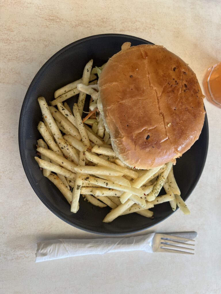 Ruff Ruff Reviews - Sunny's At Moffats, Moffats Beach, Caloundra - Burger and Chips