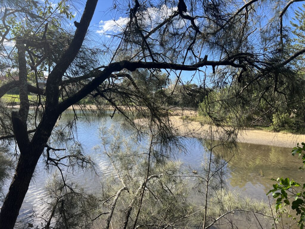 Ruff Ruff Reviews - Kingsford Smith Parade Foreshore - Creek views