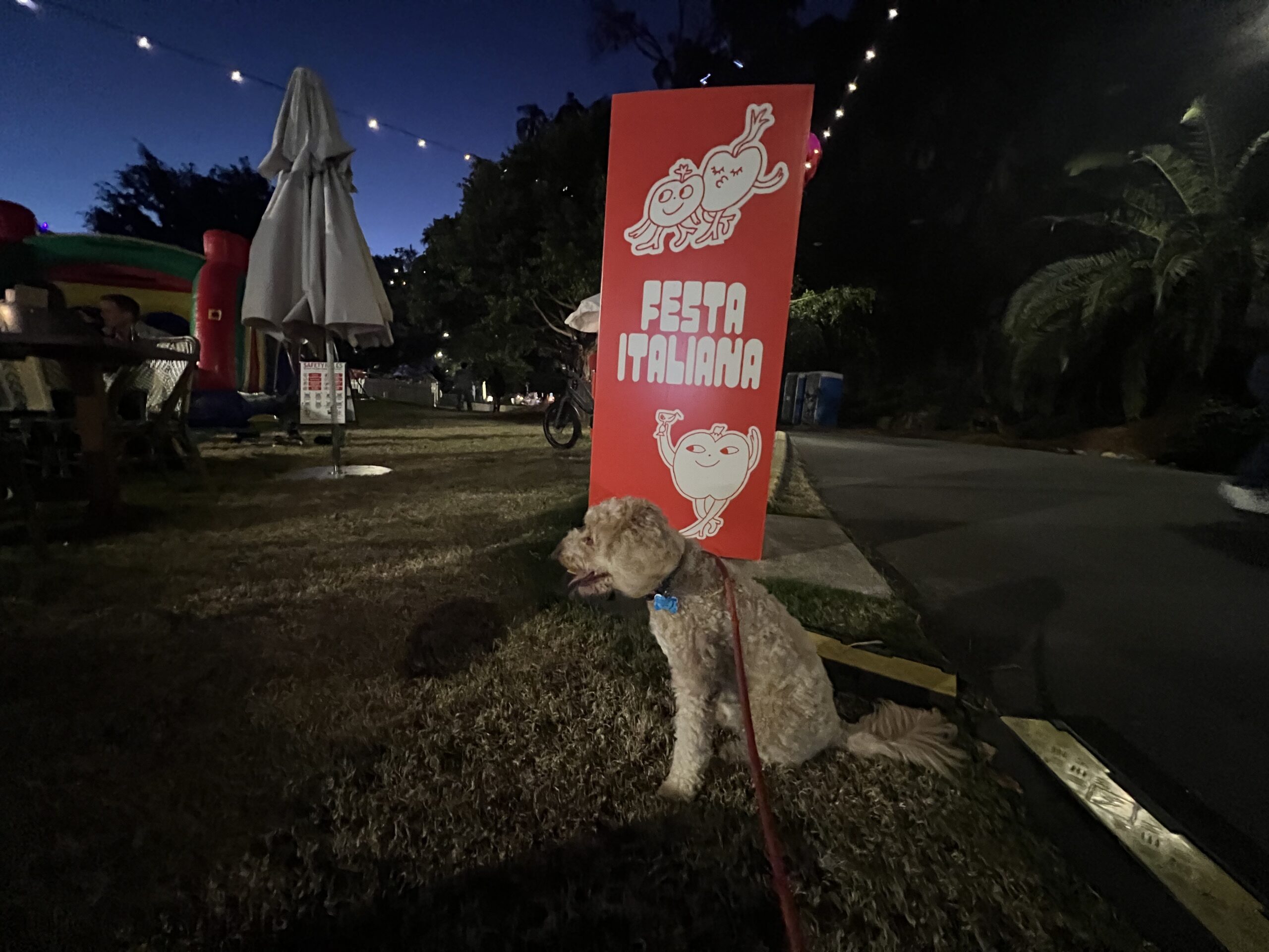 Ruff Ruff Reviews - Festa Italiana, Howard Smith Wharves - Ralph at Festa Italiana