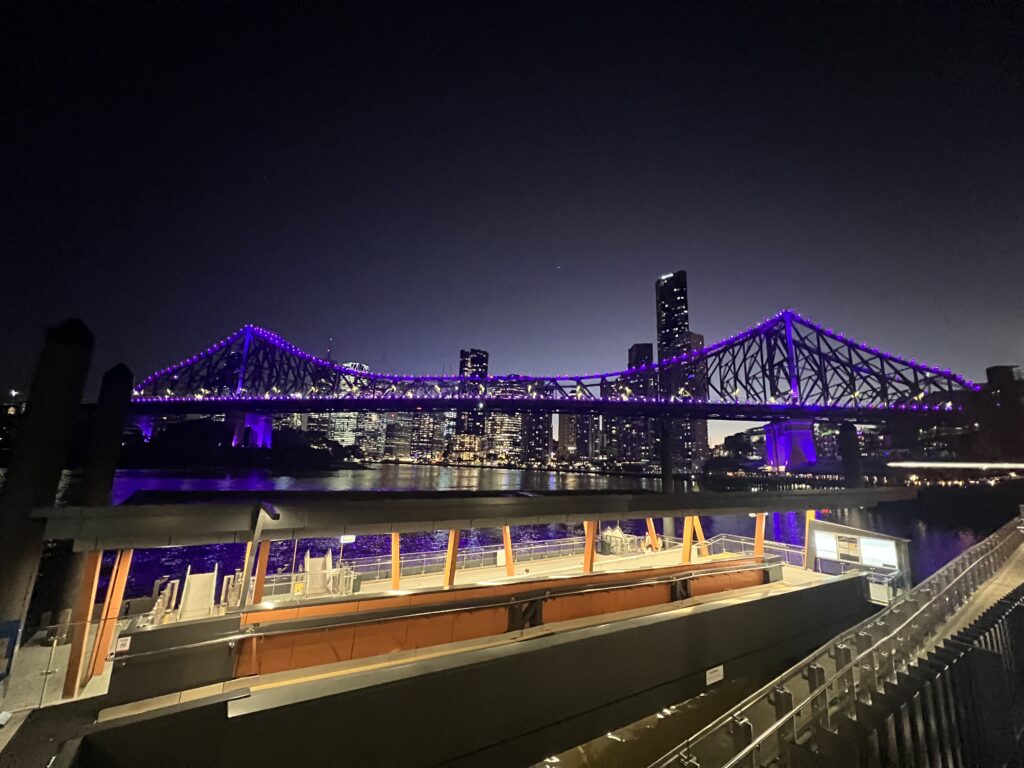 Ruff Ruff Reviews - Festa Italiana, Howard Smith Wharves - City views