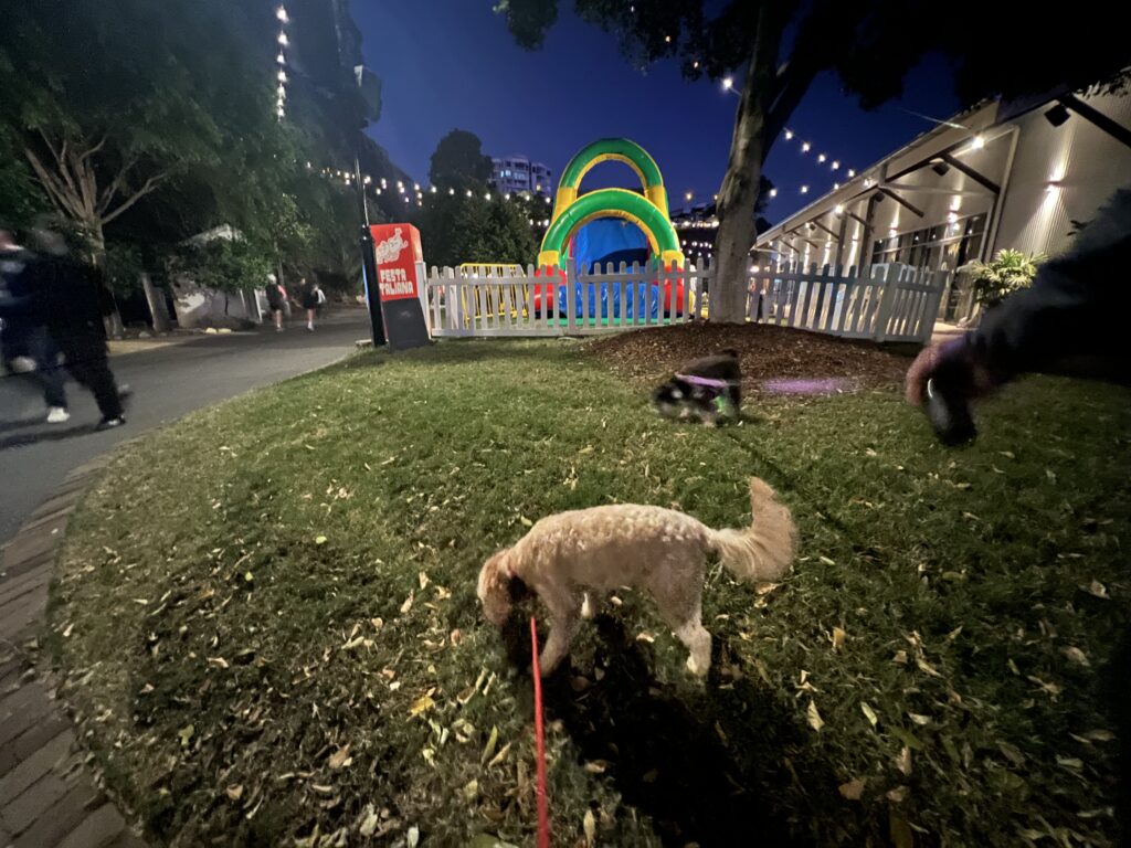 Ruff Ruff Reviews - Festa Italiana, Howard Smith Wharves - Ralph having a good sniff