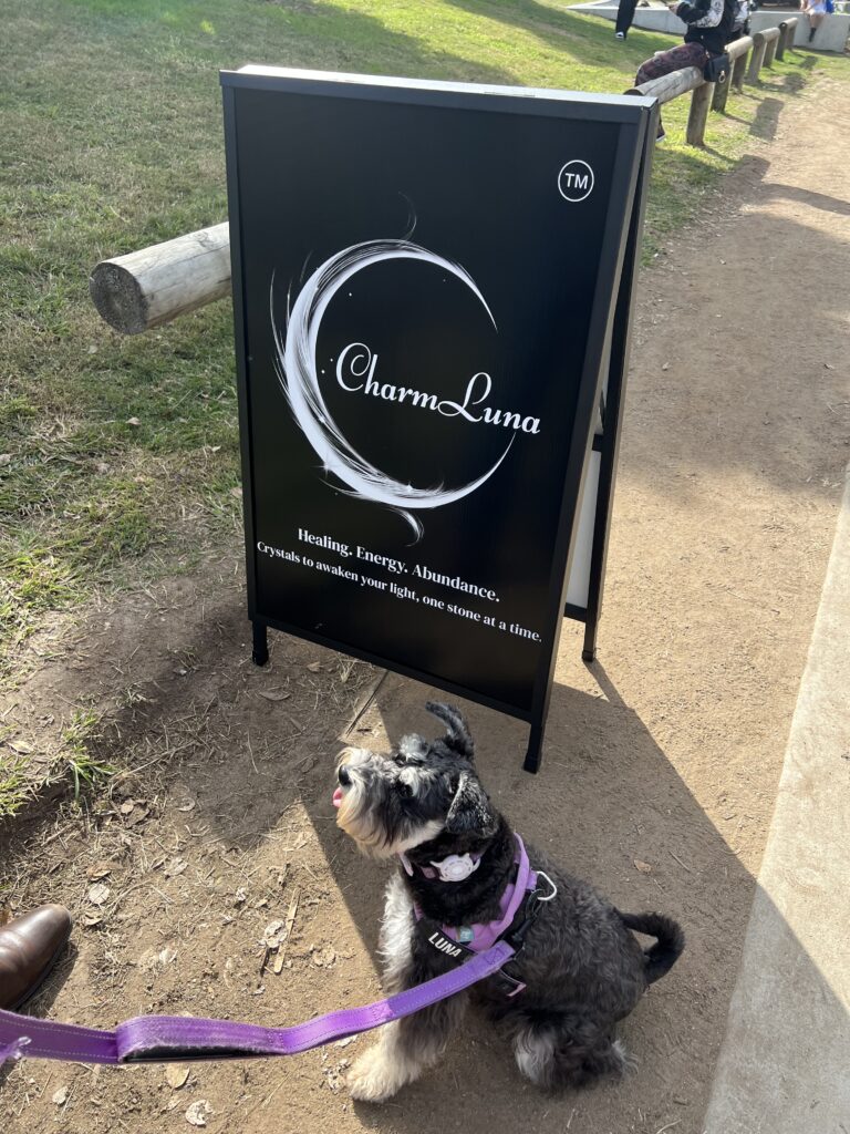 Ruff Ruff Reviews - West End Markets, West End, Brisbane - Luna sitting